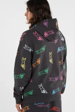 A/O RUNNING DOG - Hoodie | Multicolore