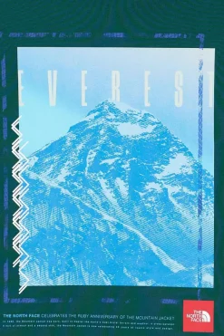 AXYS - Hoodie | Vert