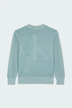 BOLD WASHED - Hoodie | Bleu