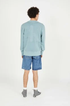BOLD WASHED - Hoodie | Bleu