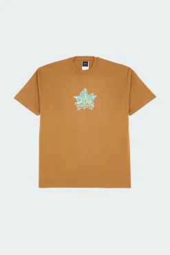 BUD BOY SS - T-shirt | Marron