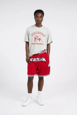 BULLDOG - T-shirt | Gris