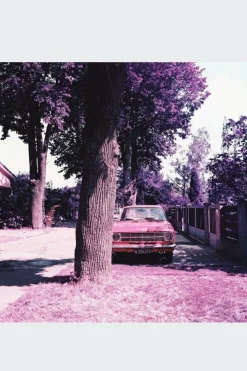 Chrome Purple XR - films négatifs | Multicolore