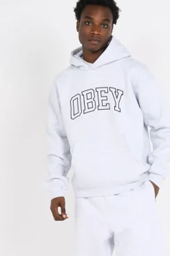 COLLEGIATE EXTRA - Hoodie | Gris