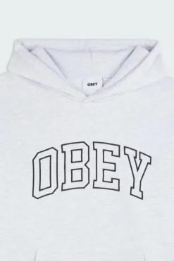 COLLEGIATE EXTRA - Hoodie | Gris