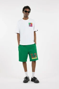 COLLEGIATE PUPPY - Short | Vert