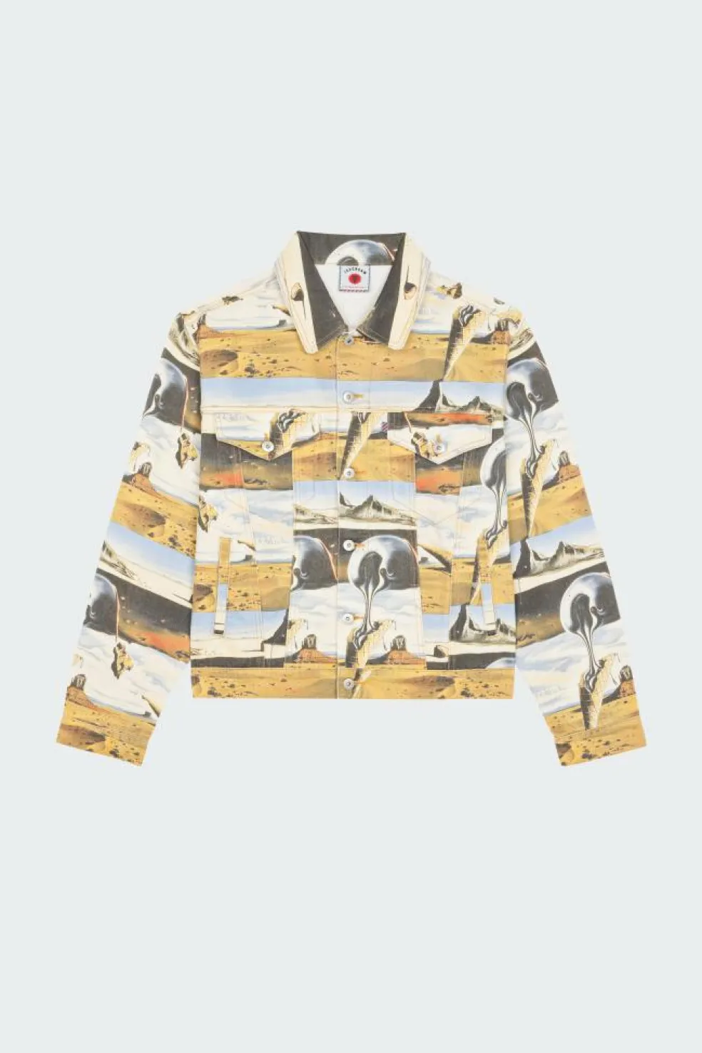 DREAMSCAPE - Veste | Multicolore