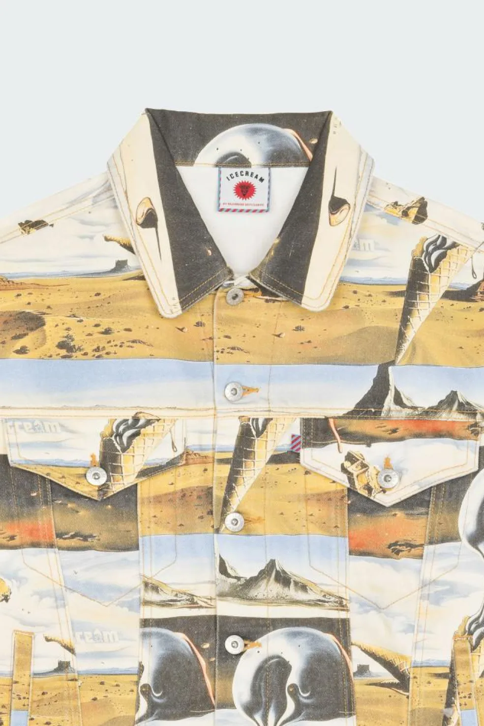 DREAMSCAPE - Veste | Multicolore