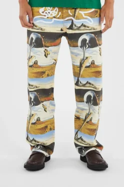 DREAMSCAPE DBLE SCOOP - Jean | Multicolore