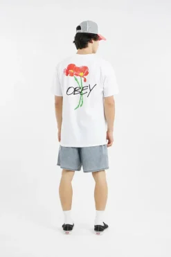 EASY PIGMENT COTTON NYLON SHT - Short | Gris