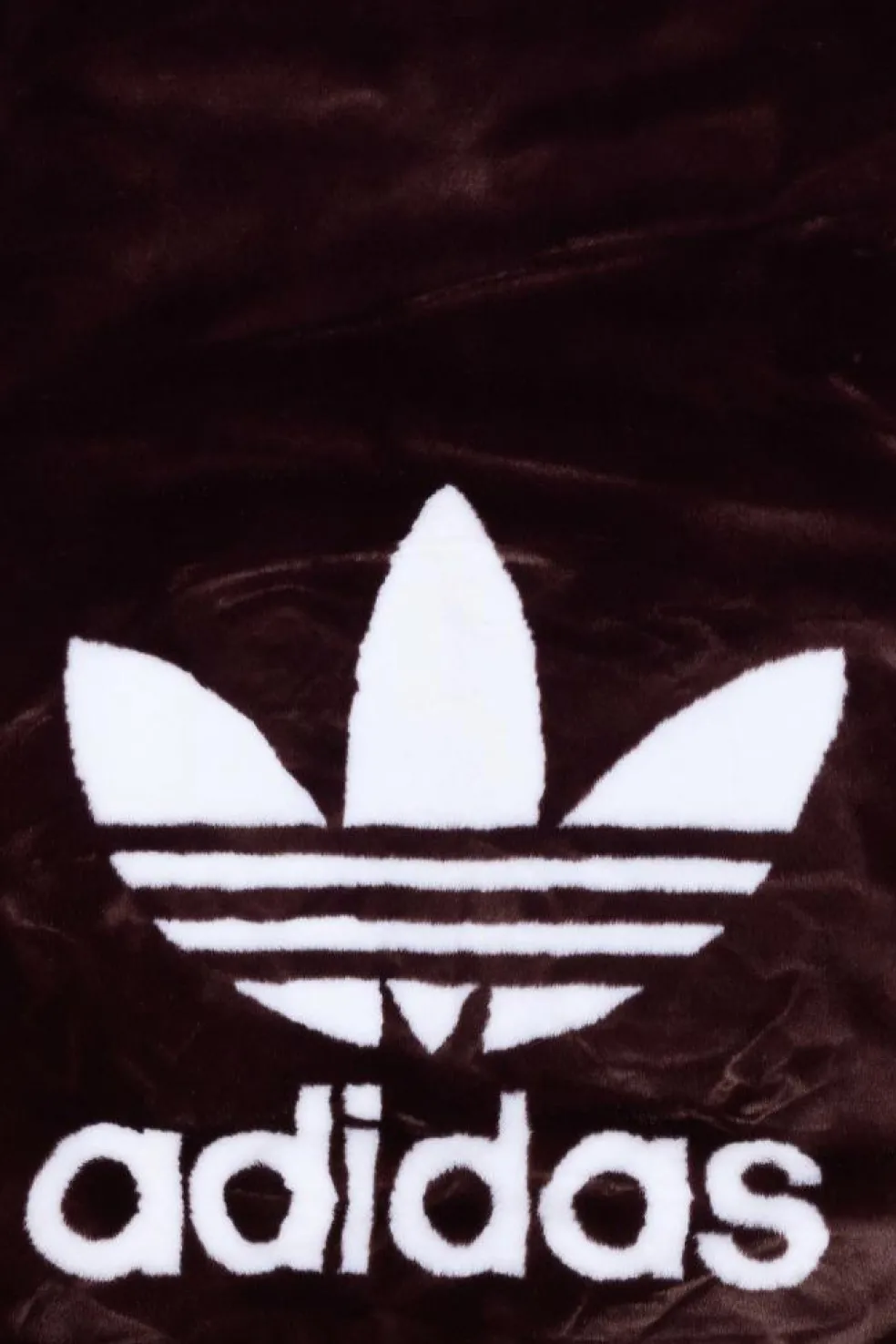 FAUX FUR JACKET - Veste | Marron