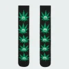 GREEN BUDDY PL - Chaussettes | Noir