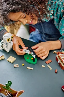 Hedwige au 4 Privet Drive - Jeu | Multicolore