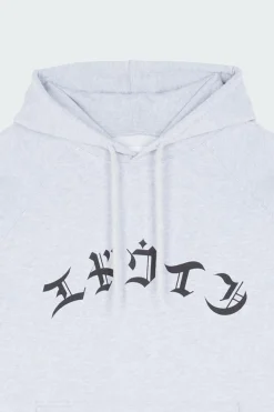 HIGH LIFE LOW LEVELS - Hoodie | Gris