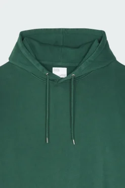 Hoodie | Vert