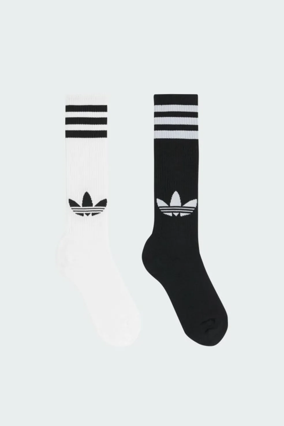 KNEE SOCK 2PP - Chaussettes | Blanc