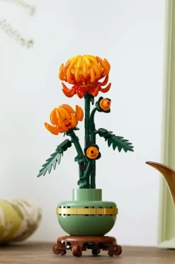 LE CHRYSANTHÈME - Jeu | Multicolore