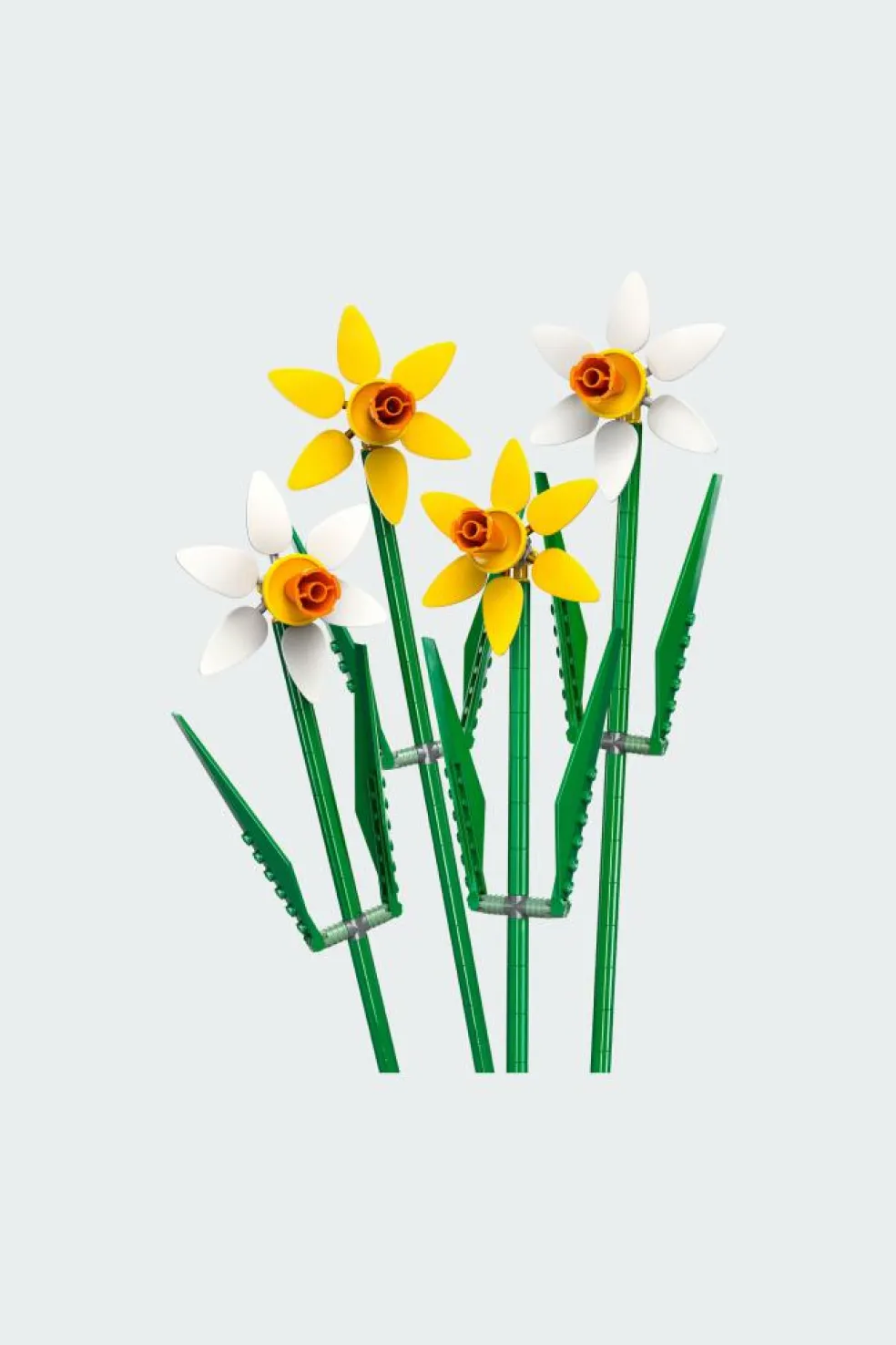 LES JONQUILLES - Jeu | Multicolore