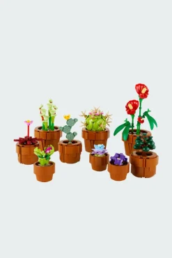 LES PLANTES MINIATURES - Jeu | Multicolore