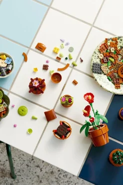 LES PLANTES MINIATURES - Jeu | Multicolore