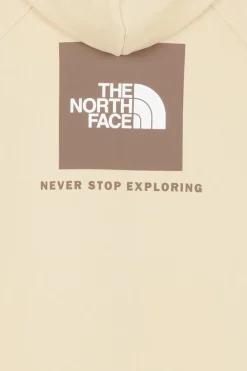 M RAGLAN BOX NSE REGULAR HOODIE - Hoodie | Gris