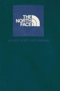 M RAGLAN BOX NSE REGULAR HOODIE - Hoodie | Vert