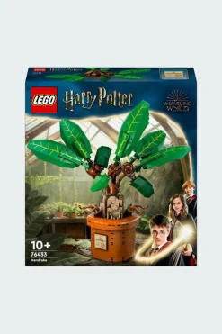 Mandragore - Jeu | Multicolore