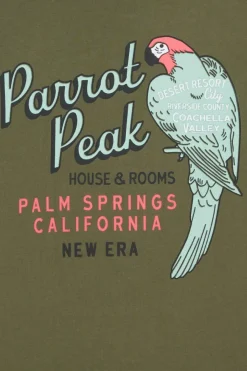 NE ANIMAL GRPHC OS TEE NEWERA - T-shirt | Vert