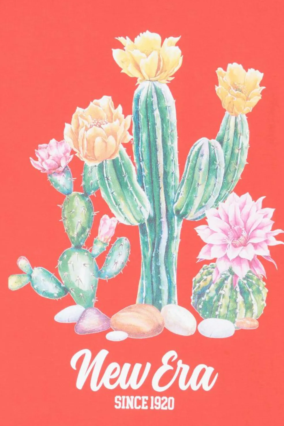 NE CACTUS GRAPHI - T-shirt | Rouge