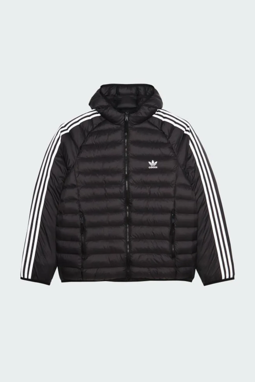 PAD HOODED PUFF - Veste | Noir