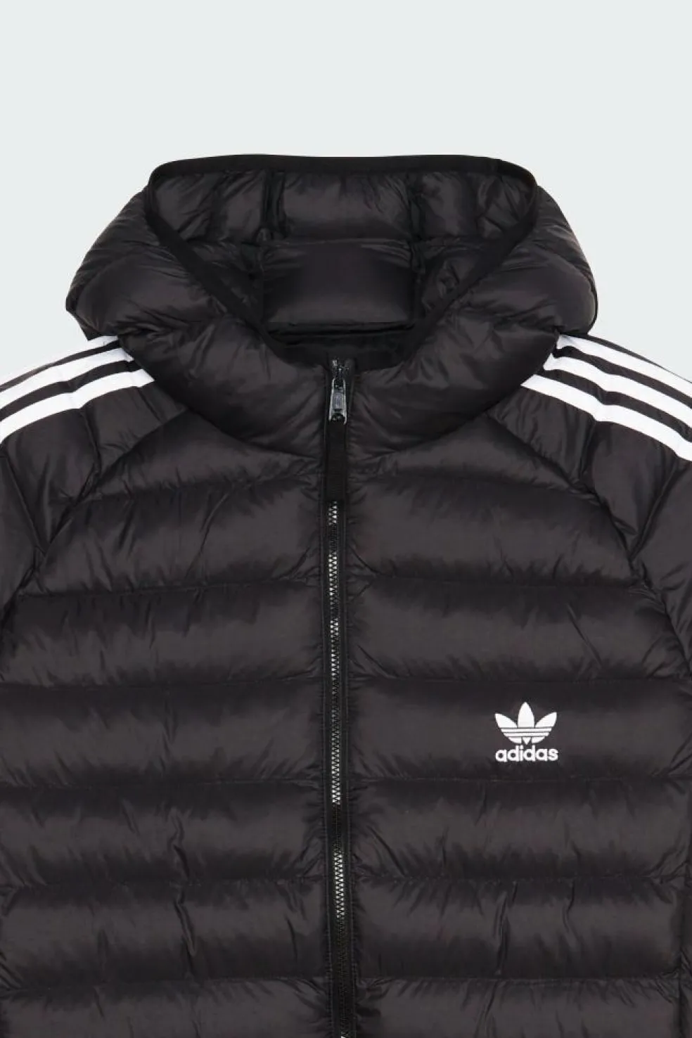 PAD HOODED PUFF - Veste | Noir