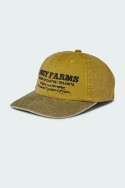 PIGMENT OBEY FARMS 6 PNL STRPB - Casquette | Jaune