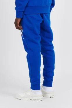 Polo Sport Fleece Jogger Pant - Jogging | Bleu