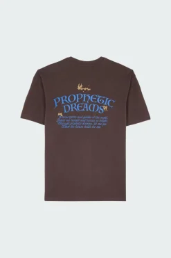 PROPHETIC DREAMS - T-shirt | Marron