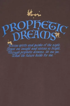 PROPHETIC DREAMS - T-shirt | Marron