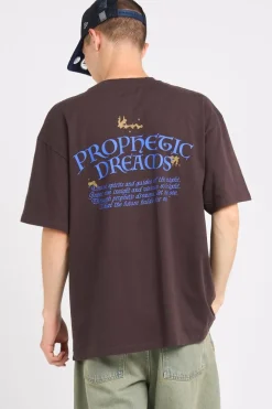 PROPHETIC DREAMS - T-shirt | Marron