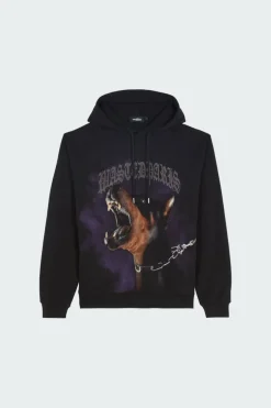 RAGE CROWN HDIE - Hoodie | Noir