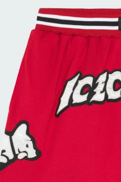 RUNNING PUPPY APPLIQUE - Short | Rouge