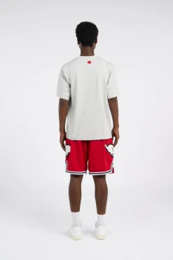 RUNNING PUPPY APPLIQUE - Short | Rouge