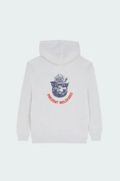 SBXE CORNELL - Hoodie | Gris