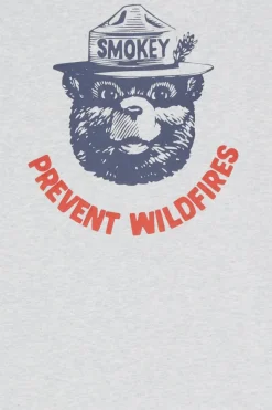 SBXE CORNELL - Hoodie | Gris