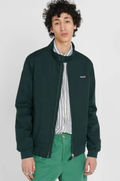 STARDUST - Veste | Vert