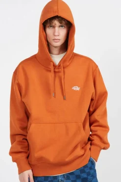 SUMMERDALE HD - Hoodie | Marron