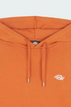 SUMMERDALE HD - Hoodie | Marron