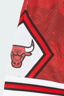 SWINGMAN SHORTS BULLS 1997 - Short | Rouge