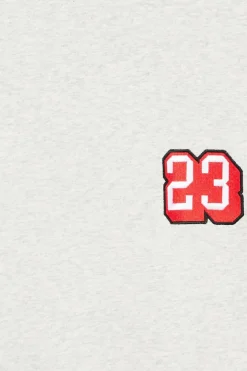 THICC H HOOD - Hoodie | Gris