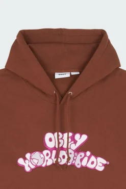 YEAR HOOD HD SEP - Hoodie | Marron
